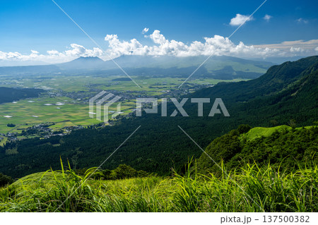阿蘇の大草原 137500382