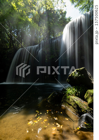光さす鍋ヶ滝 137500625
