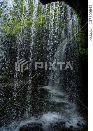 光さす鍋ヶ滝 137500643