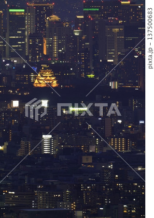 世界女性デー 2026　イエローにライトアップされた大阪城 137500683