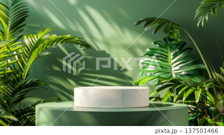 A white circular podium stands amidst vibrant green tropical plants, bathed in soft morning sunlight in a serene indoor space. 137501466