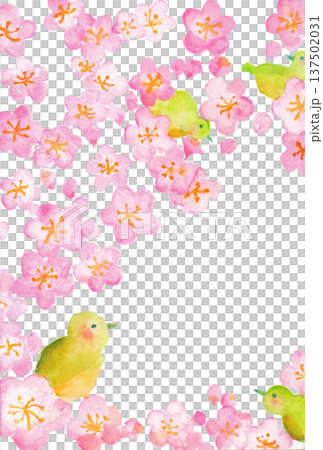 水彩の梅と小鳥の春フレーム 背景イラスト 137502031