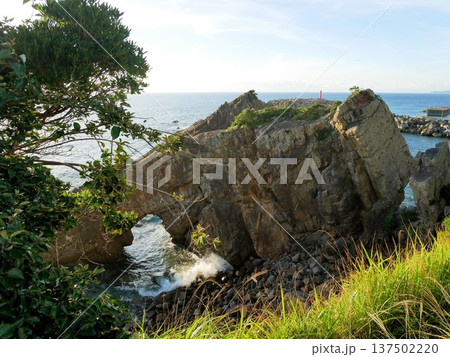天草下島 海岸線の美しい岩 (熊本県) 天草下島 海岸線の美しい岩 (熊本県) 137502220