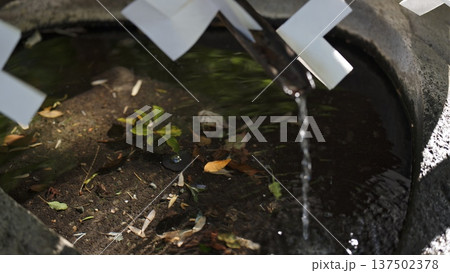 来宮神社の筧 137502378