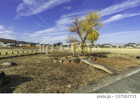 浮洲岩(藤戸岩)跡 岡山県倉敷市 浮洲岩(藤戸岩)跡 岡山県倉敷市 137502715