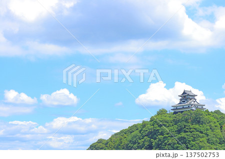 愛知県犬山市、国宝犬山城の風景 137502753