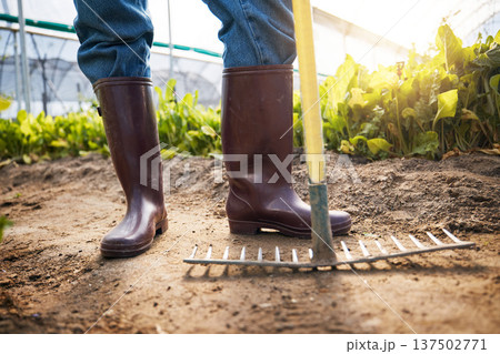 Farm, rake and boots of farmer in a garden working on sustainable produce for organic agriculture or food. Closeup, vegetables and person harvest fresh product for agro nutrition in the countryside 137502771