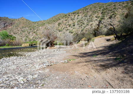 Salt River Recreation Area Arizona Salt River Recreation Area Arizona 137503186