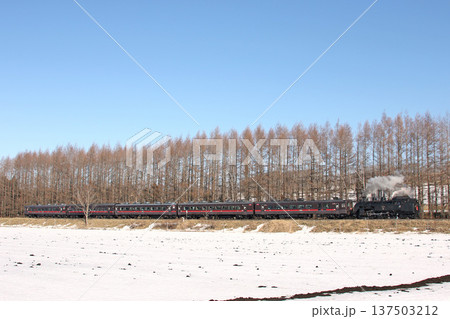 SL冬の湿原号　釧網本線　SL列車　蒸気機関車　C11 171 137503212