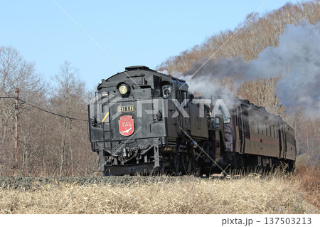 SL冬の湿原号 釧網本線 SL列車 蒸気機関車 C11 171 SL冬の湿原号 釧網本線 SL列車 蒸気機関車 C11 171 137503213