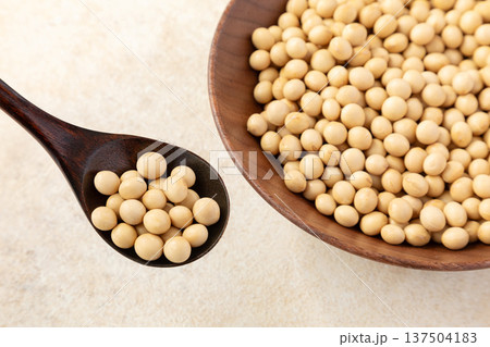 大豆のイメージ01 137504183