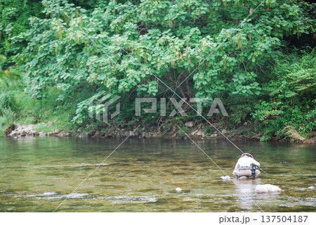 鮎釣りをする男性 137504187