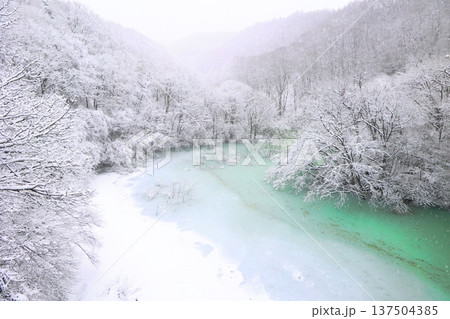 雪の降る青い川（横） 137504385