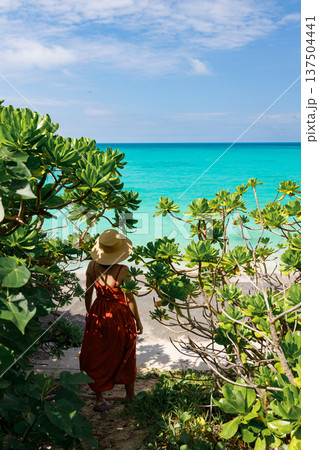 南国の植物の間から海へ向かう女性の風景 137504441