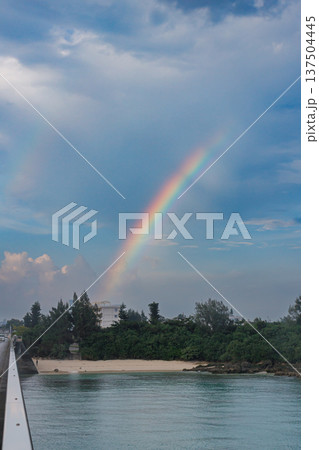 雨上がりの空にかかる虹と南国の南国風景 137504445