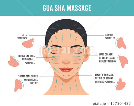 Gua sha scraper facial massage infographic. Female portrait with lines for anti wrinkle treatment steps, home beauty anti-aging routine, scraping tool tidy vector cartoon isolated concept 137504486