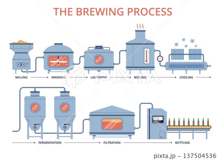 Beer production infographic. Brewing process steps, alcoholic drink manufacturing, filtration, milling and mashing, cooling and bottling. Industrial control nowaday vector isolated concept 137504536