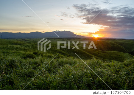 夕日に照らされる草原 137504700