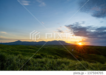 夕日に染まる草原と飛行機雲 137504705