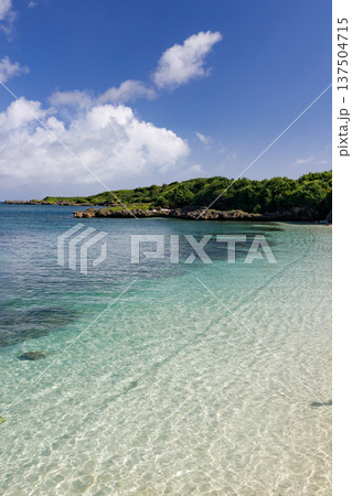 透明な浅瀬が広がる南国ビーチ風景 137504715