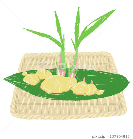 生姜（葉生姜）と四角い竹ザルのセット 137504913