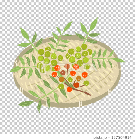 山椒の実と丸い竹ザルのセット 山椒の実と丸い竹ザルのセット 137504914