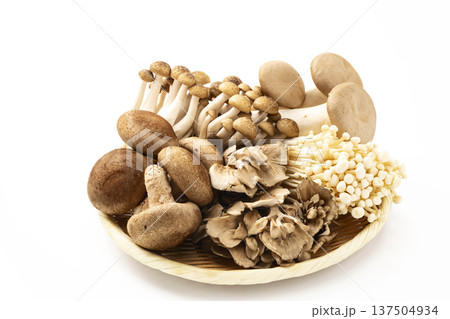 ざるに盛った各種きのこ 137504934