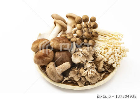 ざるに盛った各種きのこ 137504938