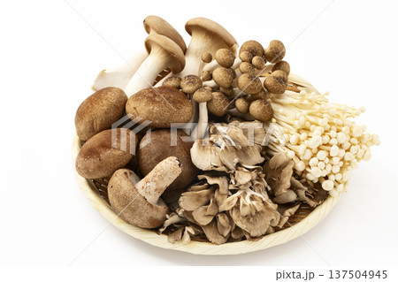 ざるに盛った各種きのこ 137504945