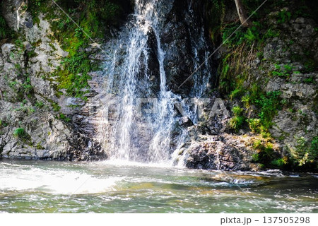 小さな滝 137505298