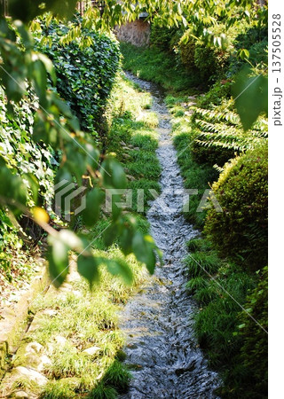 小川のある風景 小川のある風景 137505528