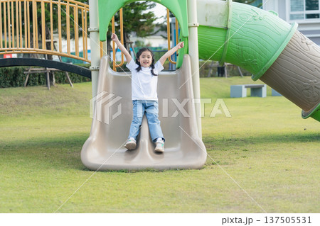 Joyful child sliding down a playground slide, smiling and enjoying the sunny day in a green park setting with playground equipment nearby Joyful child sliding down a playground slide, smiling and enjoying the sunny day in a green park setting with playground equipment nearby 137505531