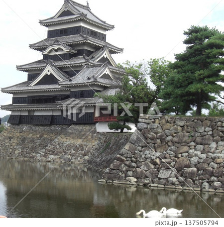 松本城の風景-58 137505794