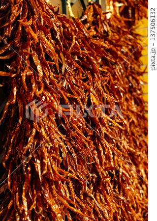 チリ トウガラシ ホットペッパー 137506132