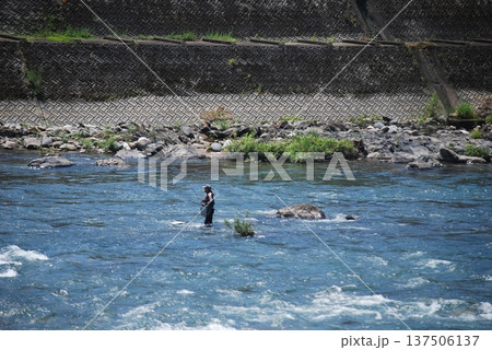 鮎釣りをする男性 鮎釣りをする男性 137506137