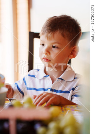 Child sits at table during meal time with fruits Child sits at table during meal time with fruits 137506375