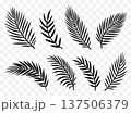 Decorative tropical palm leaves branches set 137506379
