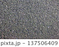 海風で風化したコンクリート壁のテクスチャー 137506409