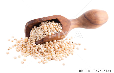 Sorghum seeds isolated on white background. Sorghum bicolor or sorgo grains in wooden spoon. Clipping path. Sorghum seeds isolated on white background. Sorghum bicolor or sorgo grains in wooden spoon. Clipping path. 137506584