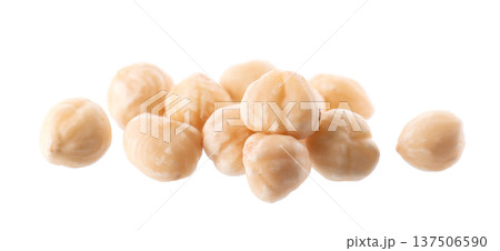 Hazelnut isolated on white background. Peeled hazelnuts. Clipping path. 137506590