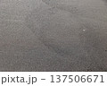 砂浜のテクスチャー・背景 137506671