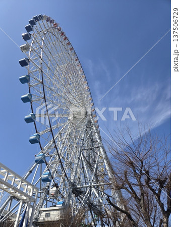大阪の天保山大観覧車 大阪の天保山大観覧車 137506729