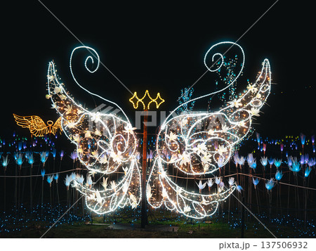 天使の羽根 137506932