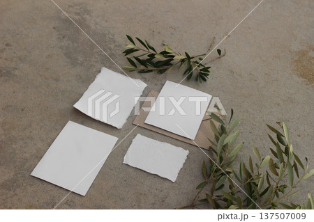 Summer wedding invitation set. Blank Cards, Envelope Mockup with Olive Branch. Concrete Surface. Handmade Paper, Neutral Rustic Stationery. Flat Lay, top view, Minimal Branding Template design Summer wedding invitation set. Blank Cards, Envelope Mockup with Olive Branch. Concrete Surface. Handmade Paper, Neutral Rustic Stationery. Flat Lay, top view, Minimal Branding Template design 137507009