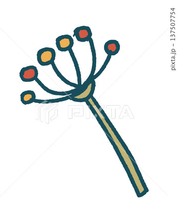 Dill seeds drooping fruit design Dill seeds drooping fruit design 137507754