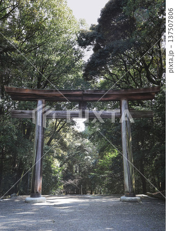 鳥居のある風景 鳥居のある風景 137507806