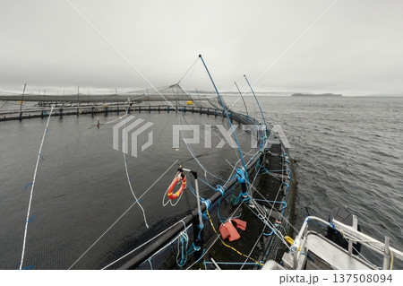 Large fish farm in the water with nets under cloudy sky as background 137508094