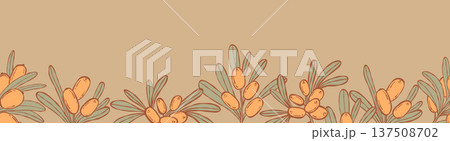 Sea Buckthorn Seamless Border. Botanical Edge with Orange Berries and Green Leaves on Beige. Vector illustration hand-drawn. Organic Product Footer Decorative Horizontal Banner 137508702