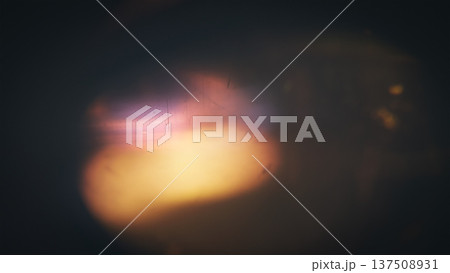 Abstract distressed film burn texture with warm light leak, scratches, dust, and dark vintage gradient Abstract distressed film burn texture with warm light leak, scratches, dust, and dark vintage gradient 137508931