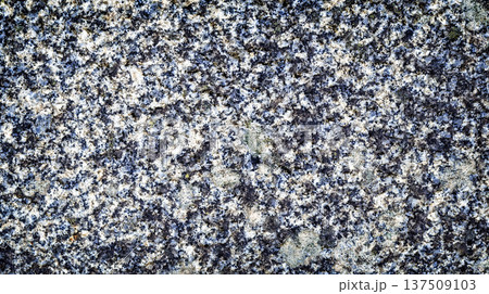 Natural Rock Background Natural Rock Background 137509103